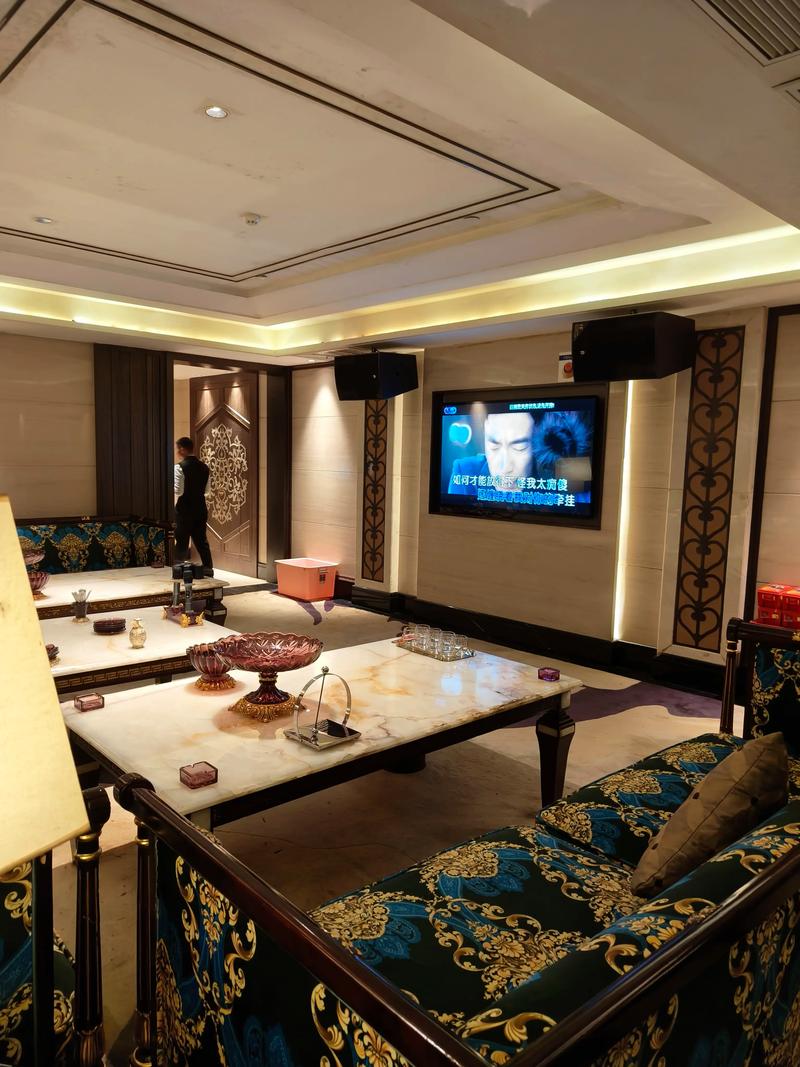 天津商务ktv详细地址查询-河东区ktv预定